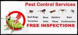 Professional Service Provider A to Z Pest Solutions in Bangalore 