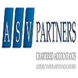Professional Service Provider ASV Partners