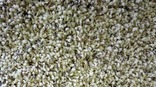 Professional Service Provider Bleyl Carpets & Blinds