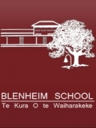 Professional Service Provider Blenheim School