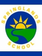 Professional Service Provider Springlands School in Blenheim Marlborough