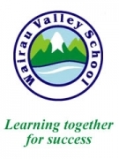 Professional Service Provider Wairau Valley School